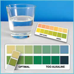 AlkaCare for a Balanced pH